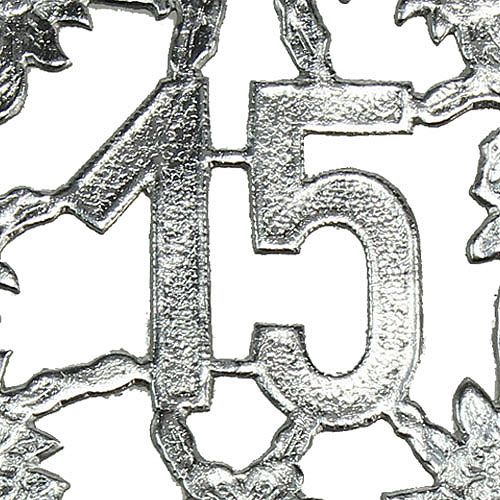 Floristik24 Anniversary number 15 silver