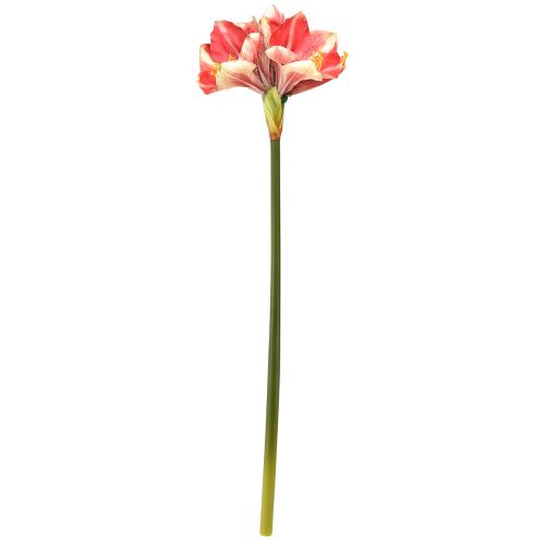 Product Artificial Amaryllis Pink and Cream – Large Stem Flower 76cm