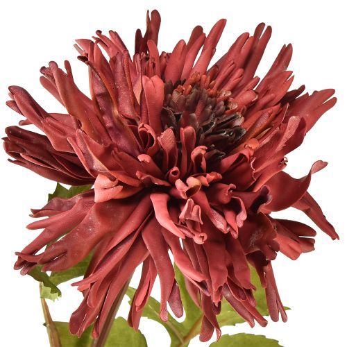 Product Artificial chrysanthemum in burgundy Ø5cm/Ø11cm L70cm