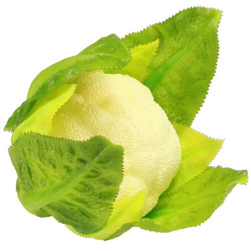 Product Artificial Cauliflower Vegetable Decoration White Green Ø9cm H15cm