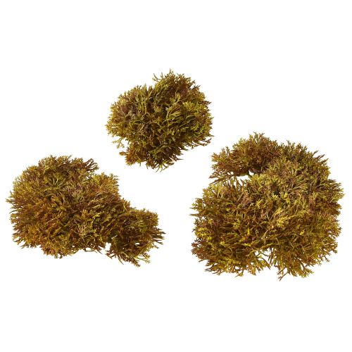 Product Artificial Moss Decoration Brown – Moss Cushion 10/12/14cm 3 pcs