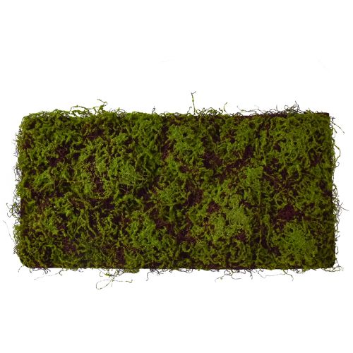 Floristik24 Artificial Moss Large Moss Mat Brown Green 100×50cm