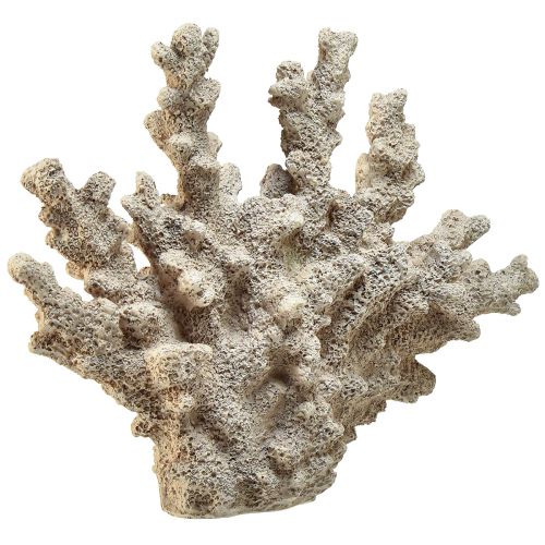Product Detailed coral decoration made of polyresin in grey – 26 cm – Maritime elegance for your home