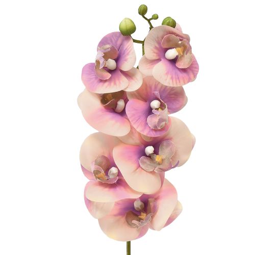 Product Orchid Phalaenopsis artificial 7 flowers violet cream 73cm