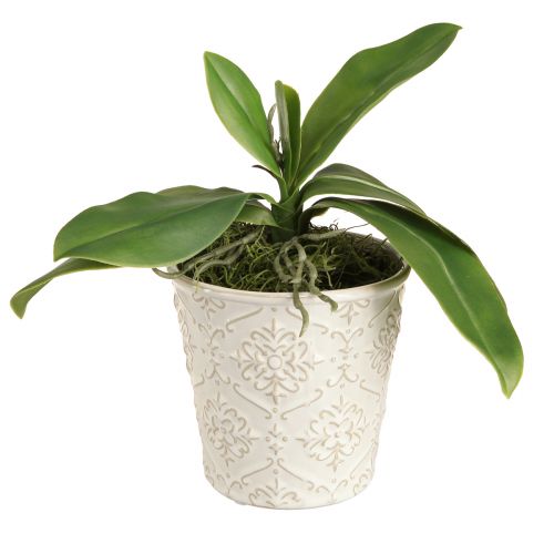 Orchid leaves with aerial roots artificial 34x8x18cm