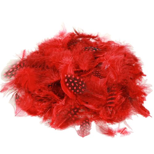 Guinea fowl feathers Faraona 30g red