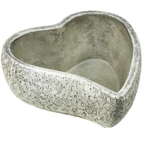 Product Plant bowl heart grave decoration plant heart grey white 18×19cm H7.5cm