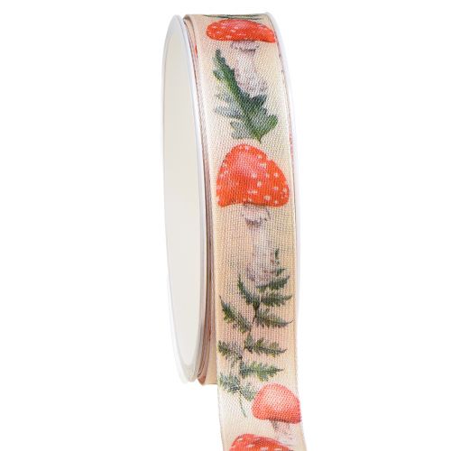 Floristik24 Ribbon fly agaric decorative ribbon W25mm L18m