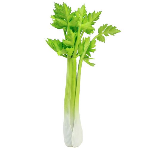 Floristik24 Celery artificial vegetable decoration with real touch 30cm