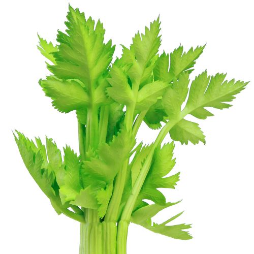 Product Celery artificial vegetable decoration with real touch 30cm