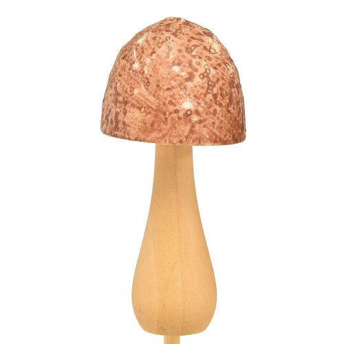 Product Flower plug mushroom decoration plug wood brown Ø2.5cm 8pcs