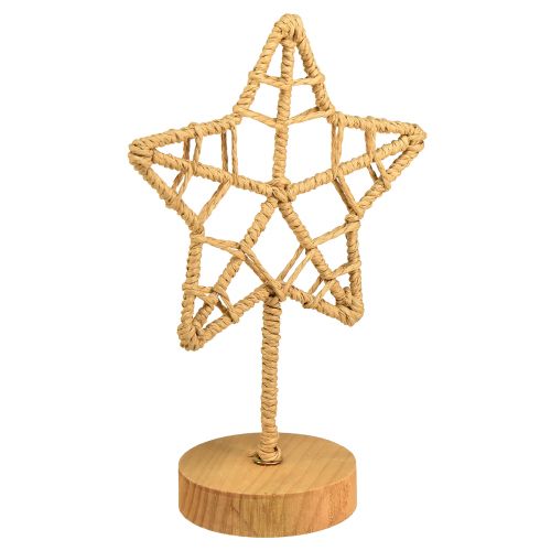 Floristik24 Star decoration metal wood stand natural fibre Ø15cm 2pcs