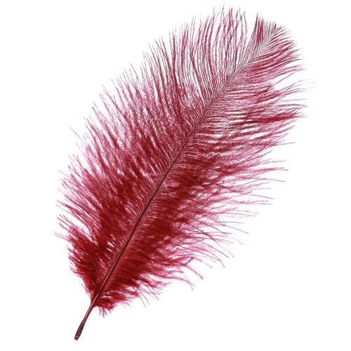 Ostrich Feathers Real Feathers Decoration Wine Red 20-25cm 12pcs