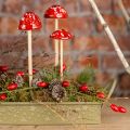 Floristik24 Fly agarics on a stick, red, 4cm, set of 6 - decorative garden mushrooms for autumn decoration