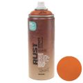 Floristik24 Rust spray effect spray rust inside/outside orange-brown 400ml