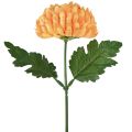 Floristik24 Chrysanthemum Orange Ø7cm L18cm 1 pc