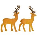 Floristik24 Deer deco reindeer yellow brown flocked H20.5cm set of 2