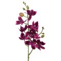 Floristik24 Small Orchid Phalaenopsis Artificial Flower dark purple 30cm