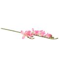 Floristik24 Small Orchid Phalaenopsis Artificial Flower Pink 30cm