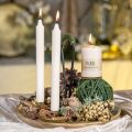 Floristik24 PURE pillar candle Beige Wenzel candles 90/60mm