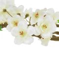 Floristik24 Peach blossom branch artificial cream spring 69cm