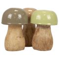 Floristik24 Wooden mushrooms decorative mushrooms wood beige, green Ø5cm 7.5cm 12pcs