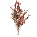 Floristik24 Artificial plants autumn decoration thistles berries fern 65cm bunch