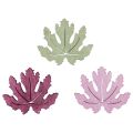 Floristik24 Scatter decoration wooden autumn leaves table decoration purple pink green 4cm 72pcs