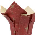 Floristik24 Planter paper stars red/anthracite/natural Ø9.5cm H10cm 9 pieces