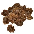 Floristik24 Cedar cones cut as rose Cedarrose 4-6cm natural 50pcs.