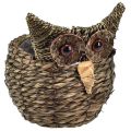 Floristik24 Decorative owl plant pot planter straw grey brown 16×11cm