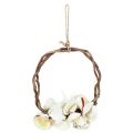 Floristik24 Maritime decoration ring with sea snails and shells – Natural white, Ø 25 cm – Perfect for coastal-inspired decoration