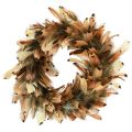 Floristik24 Feather wreath real feathers pheasant feathers wreath brown Ø24cm