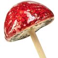 Floristik24 Fly agarics on a stick, red, 4cm, set of 6 - decorative garden mushrooms for autumn decoration