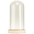 Floristik24 Glass bell with wooden base clear natural Ø12cm H21cm