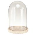 Floristik24 Glass bell oval wooden base glass jar clear natural Ø17cm H24cm