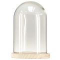 Floristik24 Glass bell oval wooden base glass jar clear natural Ø17cm H24cm