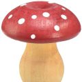 Floristik24 Wooden mushrooms decorative mushrooms wooden toadstools red orange 5cm 9pcs