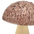 Floristik24 Wooden mushrooms decoration mushrooms table decoration autumn brown natural 5×6cm 8pcs