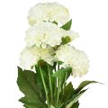 Floristik24 Artificial flowers decoration dahlias artificial white 50cm