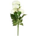 Floristik24 Artificial flowers decoration dahlias artificial white 50cm