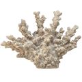 Floristik24 Detailed coral decoration made of polyresin in grey – 26 cm – Maritime elegance for your home