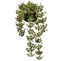 Floristik24 Green plant artificial pearl string in moss ball 38cm