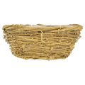 Floristik24 Plant bowl bowl round vines natural Ø23cm H9,5cm