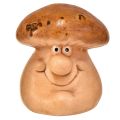 Floristik24 Happy mushroom figures with faces in a set of 3 – Various shades of brown, 6.6 cm – Funny decoration for the garden and home