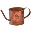 Floristik24 Rust decorative watering can mini plant pot metal Ø10cm H9cm