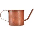 Floristik24 Rust decorative watering can mini plant pot metal Ø10cm H9cm