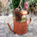 Floristik24 Rust decorative watering can mini plant pot metal Ø10cm H9cm